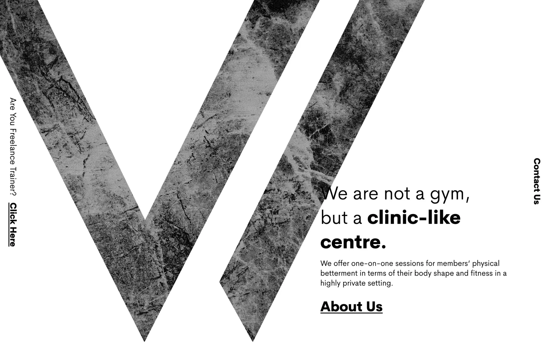 V2 Wellness Website Home Page